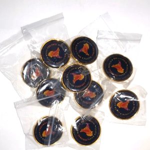 Purple Prestige South Asian Heritage Month Pins x10