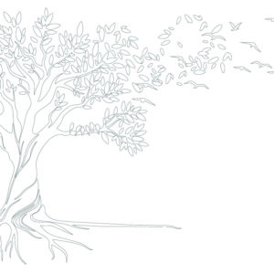 Roots to Routes – Colour Me Blank Canvas
